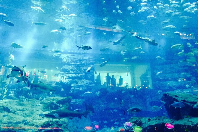 Dubai Aquarium and Underwater Zoo - Accessibility and Transportation Information