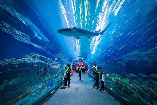 Dubai Aquarium and Underwater Zoo - Additional Information