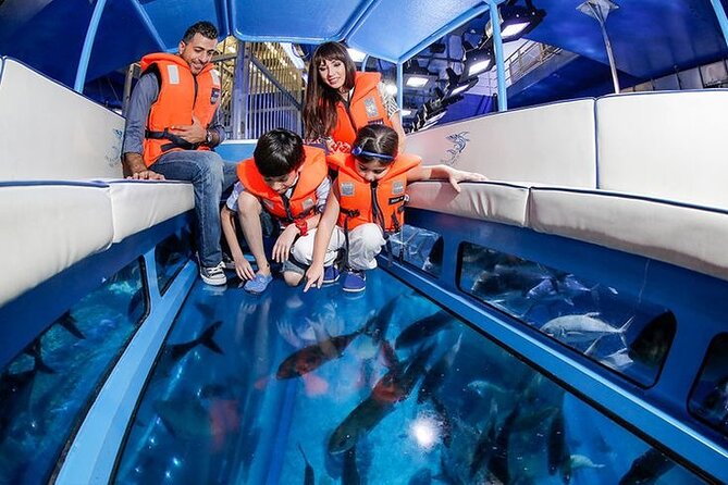 Dubai Aquarium and Underwater Zoo - Highlights of the Dubai Aquarium and Underwater Zoo