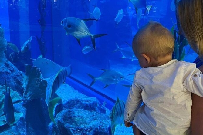 Dubai Aquarium and Underwater Zoo - Expectations