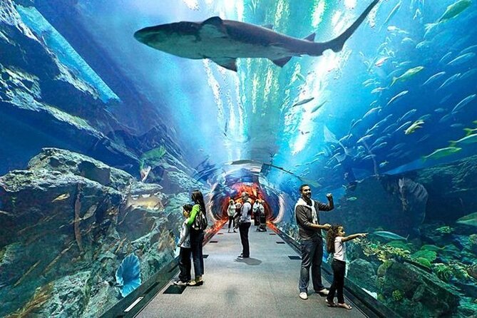 Dubai Aquarium and Underwater Zoo Admission Tickets. - Ticket Prices and Options
