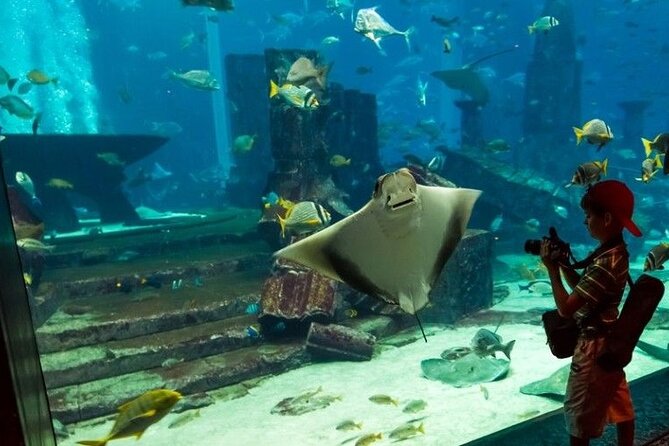 Dubai Aquarium and Underwater Zoo Admission Tickets. - Traveler Feedback and Ratings