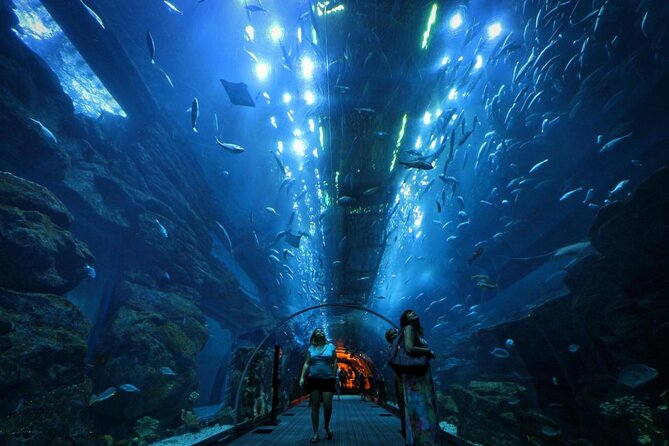 Dubai Aquarium and Underwater Zoo Admission With Ski Dubai Classic (Optional) - Important Information