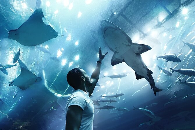 Dubai Aquarium and Underwater Zoo Combo Admission Ticket - Ticket Options
