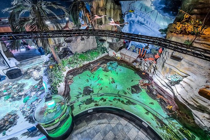 Dubai Aquarium and Underwater Zoo Combo Admission Ticket - Customer Support and Assistance