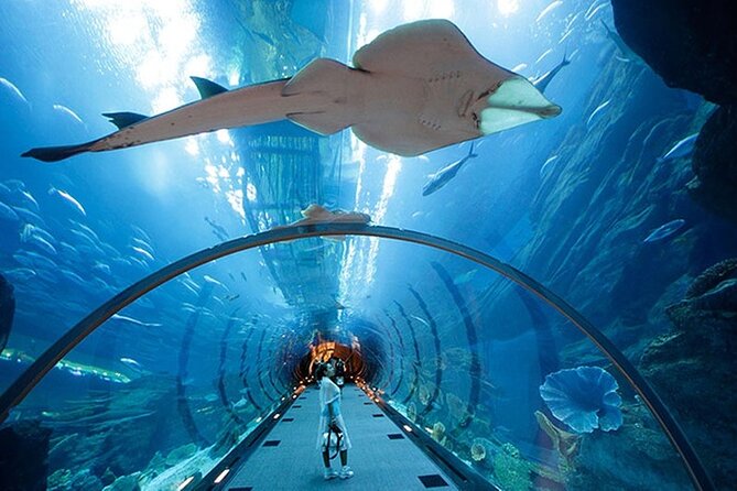 Dubai Aquarium and Underwater Zoo Combo Admission Ticket - Importance of Product Code