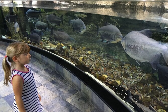 Dubai Aquarium and Underwater Zoo Combo Admission Ticket - Common Questions