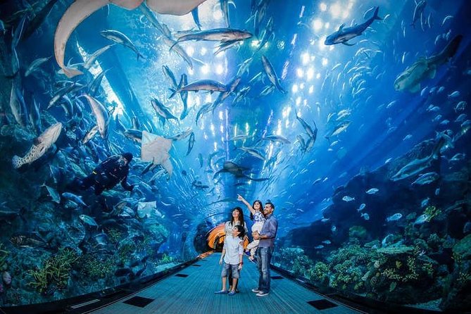 Dubai Aquarium and Underwater Zoo Combo Ticket - Common Questions