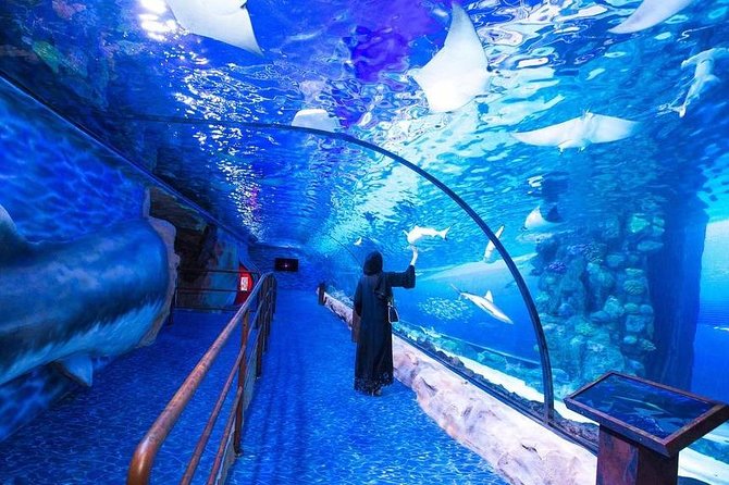 Dubai Aquarium and Underwater Zoo Combo With Sharing Transfer - Overview and Experience