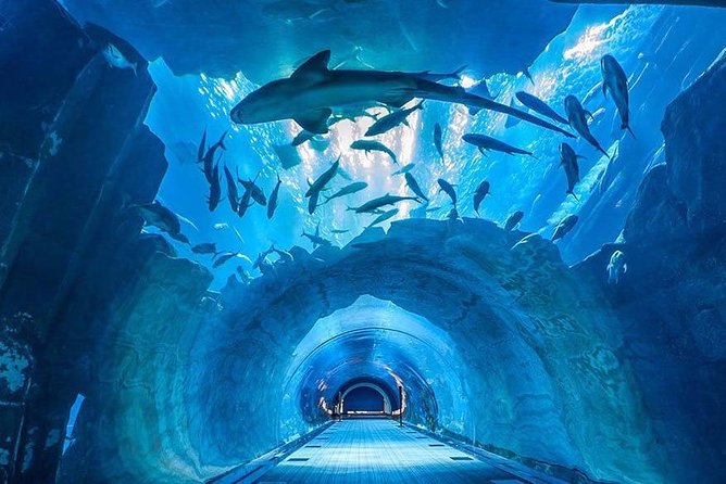 Dubai Aquarium and Underwater Zoo Combo With Sharing Transfer - Directions