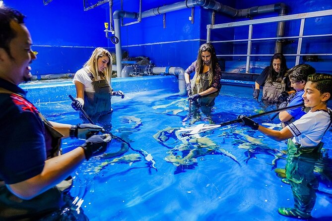 Dubai Aquarium and Underwater Zoo Explorer Tickets - Up-Close Encounters With Marine Species