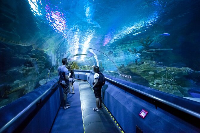 Dubai Aquarium and Underwater Zoo Ticket - Pricing and Booking