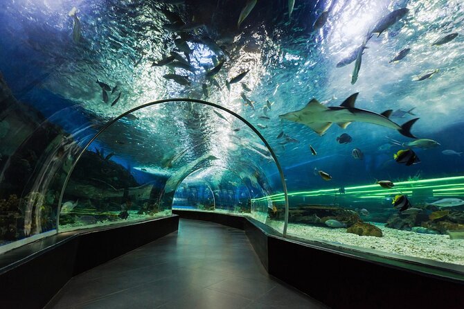 Dubai Aquarium and Underwater Zoo Ticket - Meeting and Pickup