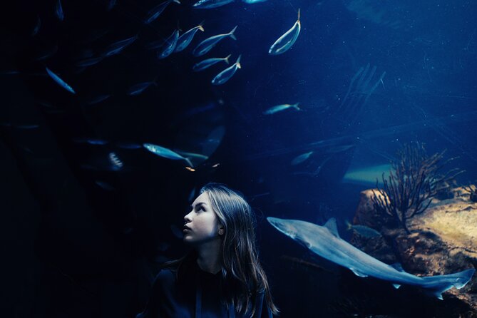 Dubai Aquarium and Underwater Zoo Ticket - Start Time