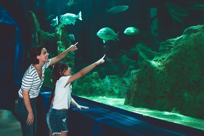 Dubai Aquarium and Underwater Zoo Ticket - Opening Hours