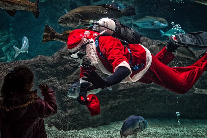 Dubai Aquarium and Underwater Zoo Ticket - Cancellation Policy