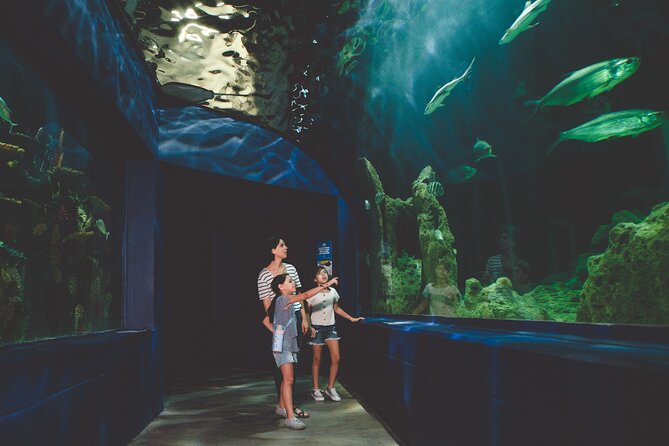Dubai Aquarium and Underwater Zoo Ticket - Common Questions