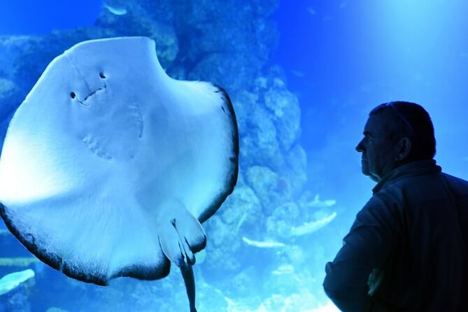 Dubai Aquarium And Underwater Zoo Tickets At Dubai Mall - Booking Information