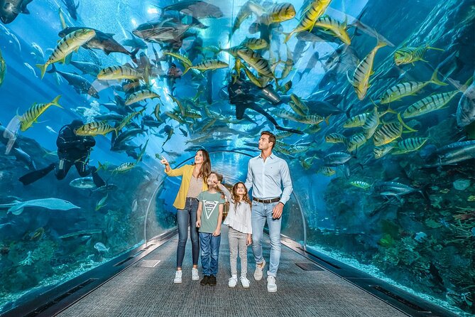 Dubai Aquarium and Underwater Zoo Tickets - Common Questions