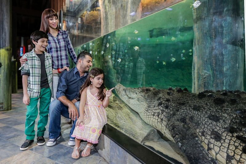 Dubai Aquarium Ticket - Through the 48-metre Aquarium Tunnel
