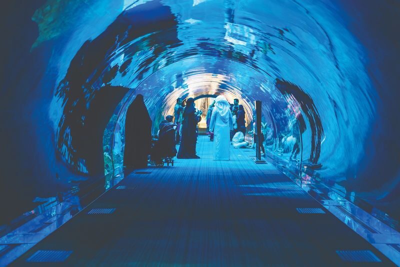 Dubai Aquarium Ticket - Penguin Cove is small but distinctive