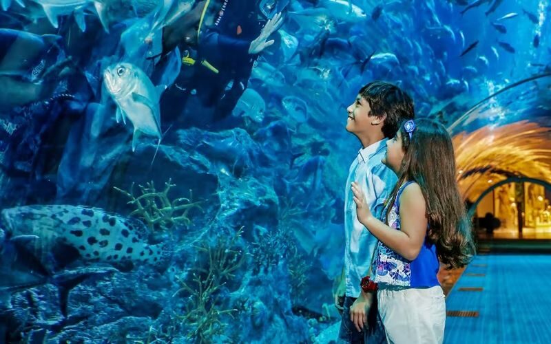 Dubai Aquarium Ticket - Is a ticket worth the price?