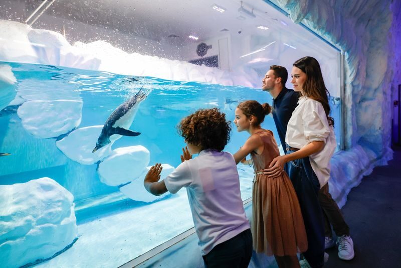 Dubai Aquarium Ticket - Getting there and planning your time
