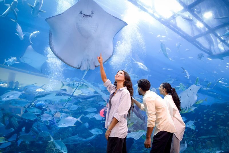 Dubai Aquarium Ticket - Who will enjoy this visit most?