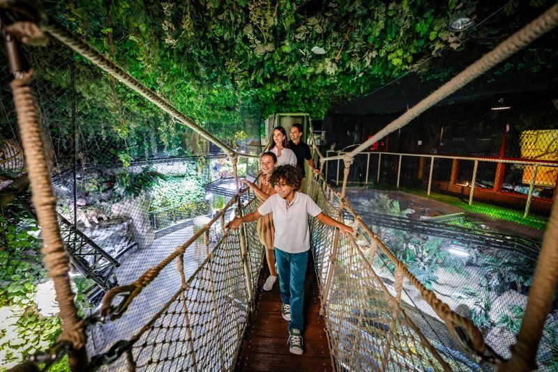 Dubai Aquarium Ticket - Should you book Dubai Aquarium?