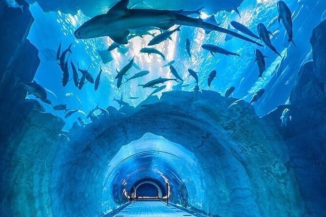 Dubai Aquarium & Under Water Zoo With Penguin Cove Option - Frequently Asked Questions