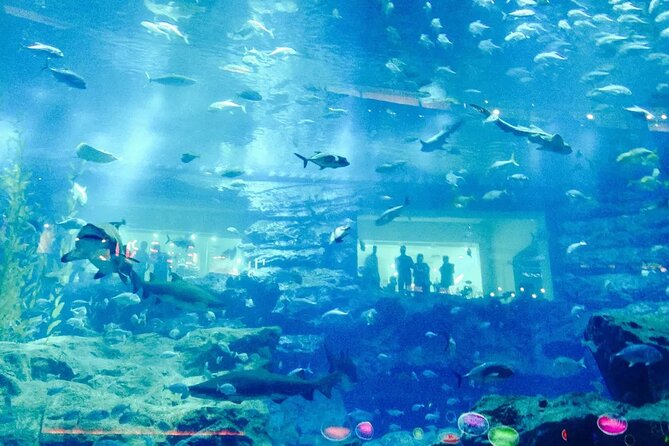 Dubai Aquarium & Underwater Zoo - Basic - Whats Included