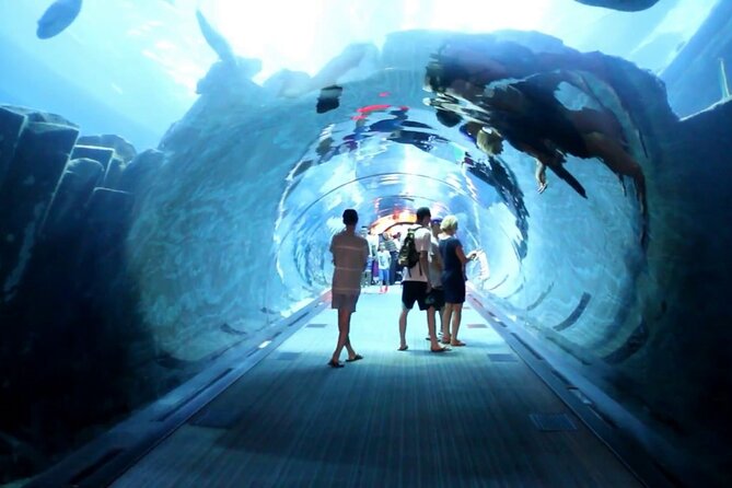Dubai Aquarium & Underwater Zoo - Basic - Cancellation Policy and Additional Information