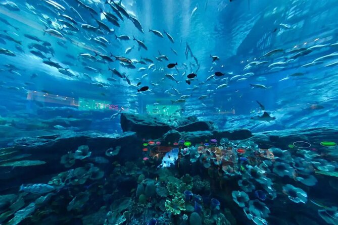 Dubai Aquarium & Underwater Zoo - Basic - Background