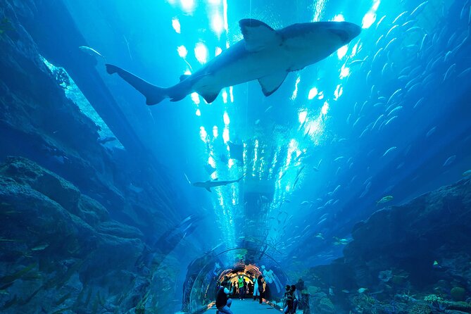 Dubai Aquarium & Underwater Zoo - Basic - Common Questions
