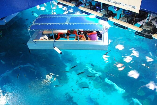 Dubai Aquarium & Underwater Zoo - Traveler Photos of Dubai Aquarium