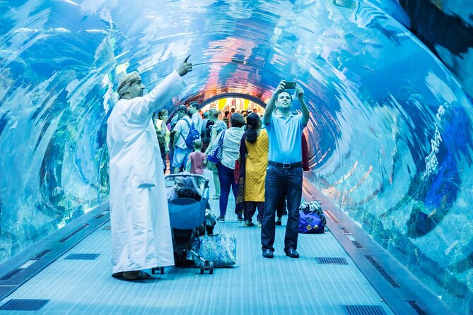 Dubai Aquarium & Underwater Zoo Entrance Ticket - Ticket Price and Guarantee