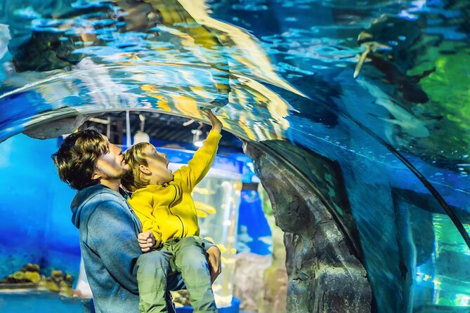 Dubai Aquarium & Underwater Zoo Entrance Ticket - Customer Reviews and Ratings