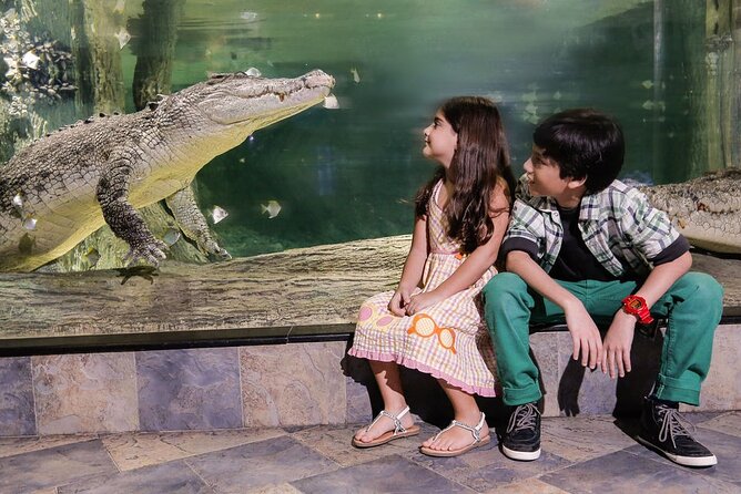 Dubai Aquarium & Underwater Zoo Entrance Ticket - Additional Attractions and Information