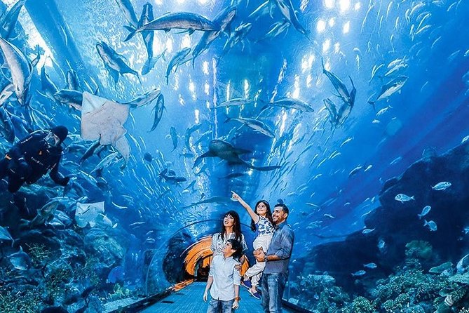 Dubai Aquarium & Underwater Zoo Ticket With Transfer - Cancellation Policy and Refund Options