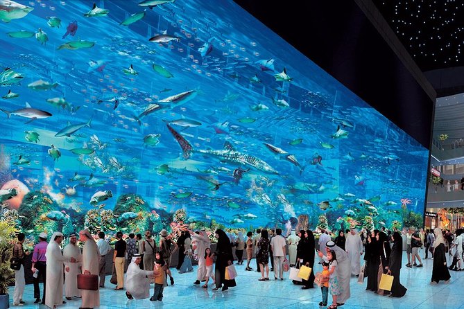 Dubai Aquarium & Underwater Zoo Ticket With Transfer - Common Questions