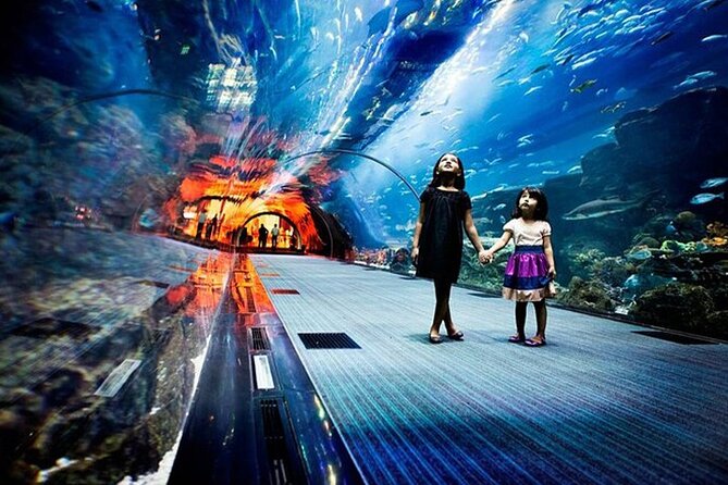 Dubai Aquarium & Underwater Zoo Tickets - Common Questions