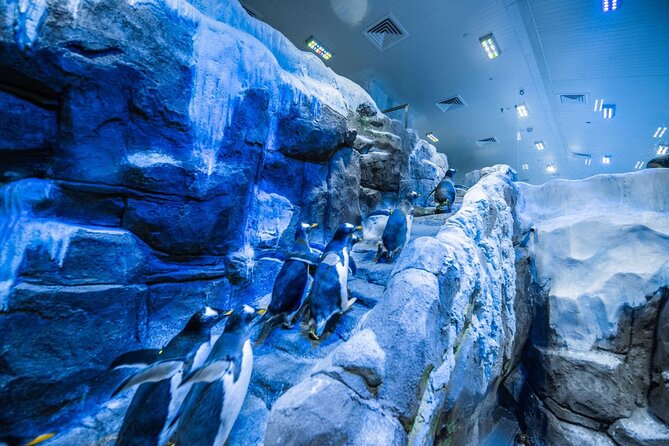 Dubai Aquarium With Penguin or Otter or Crock or Ray Encounter - Overview of Dubai Aquarium and Underwater Zoo