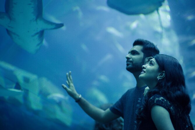 Dubai Aquarium With Penguin or Otter or Crock or Ray Encounter - Directions