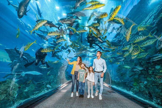 Dubai Aquarium With Penguin or Otter or Crock or Ray Encounter - The Sum Up