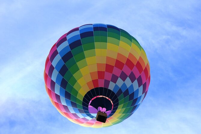 Dubai Beautiful Desert By Hot Air Balloon From Dubai&Falcon Show - Inclusions