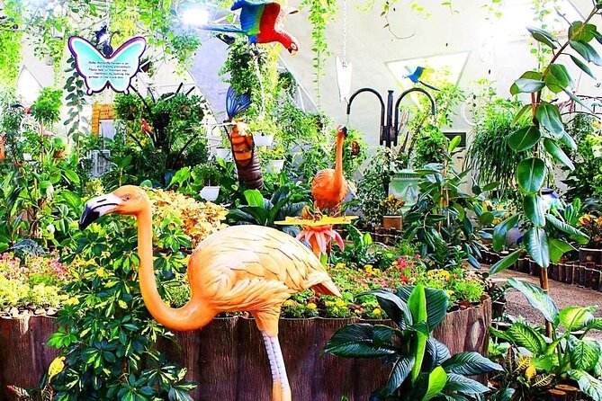 Dubai Butterfly Garden - Location and Opening Hours