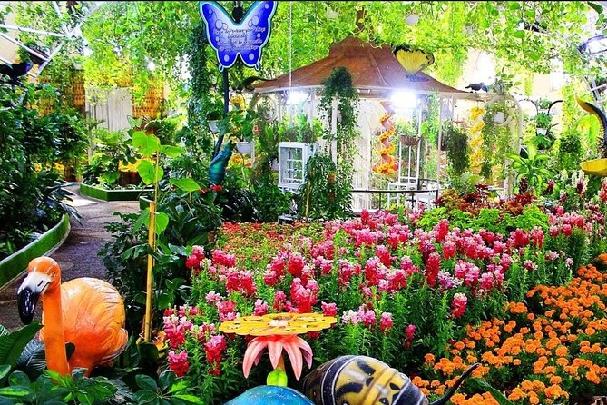 Dubai Butterfly Garden - How to Get to Dubai Butterfly Garden