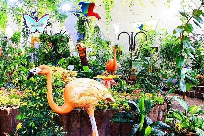 Dubai Butterfly Garden - Activities and Attractions