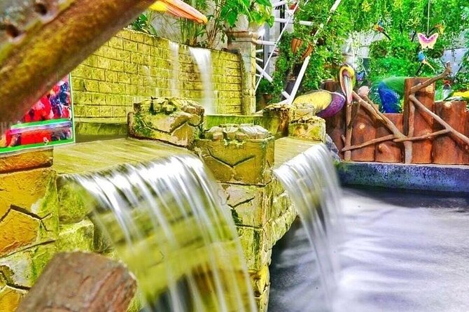 Dubai Butterfly Garden - Ticket Prices and Discounts