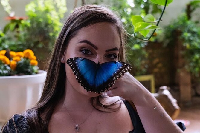 Dubai Butterfly Garden Entry Ticket - Dome Experience